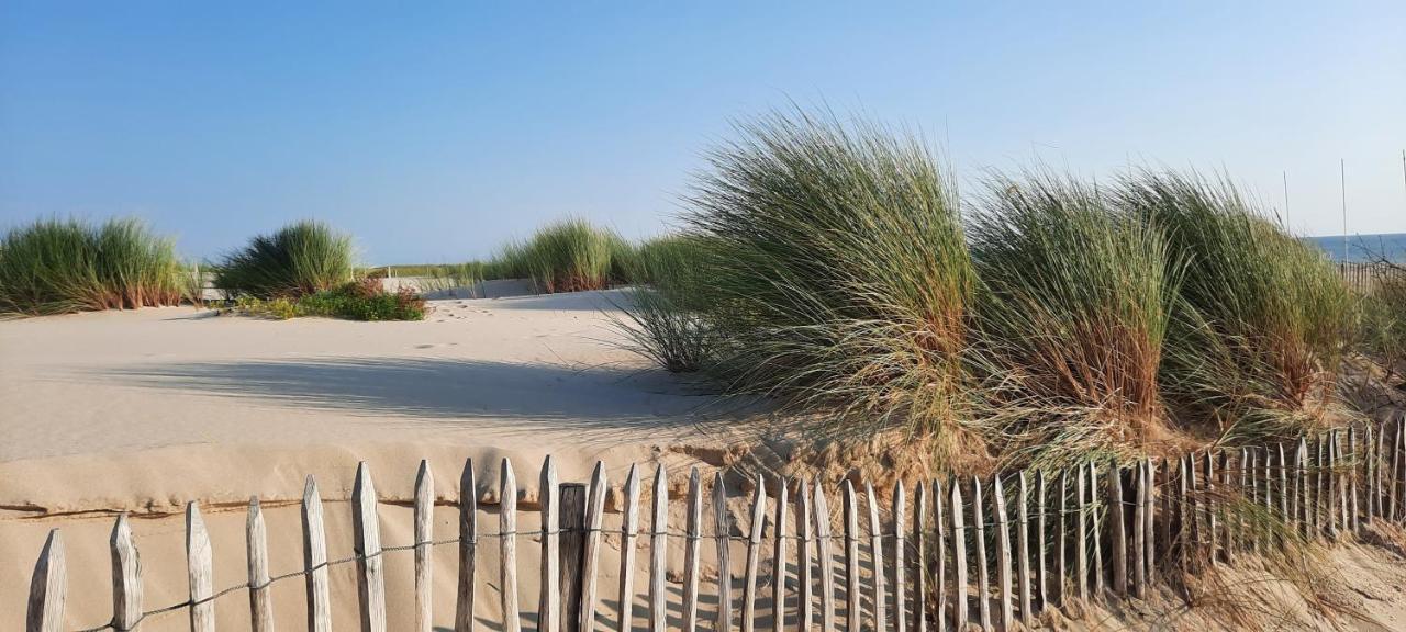 Maison Sur Le Bassin D'Arcachon La Teste-de-Buch Ngoại thất bức ảnh